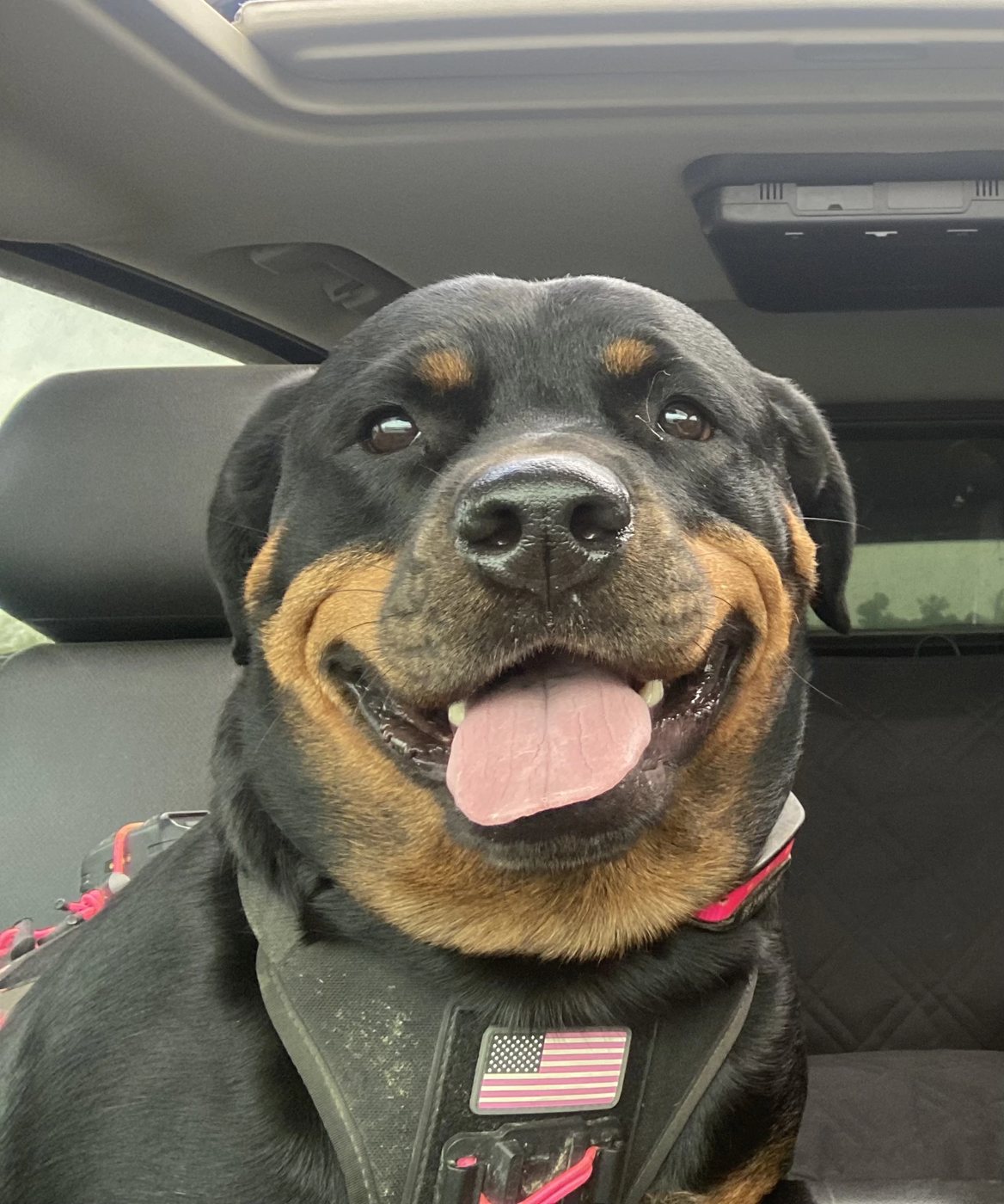 Ellie